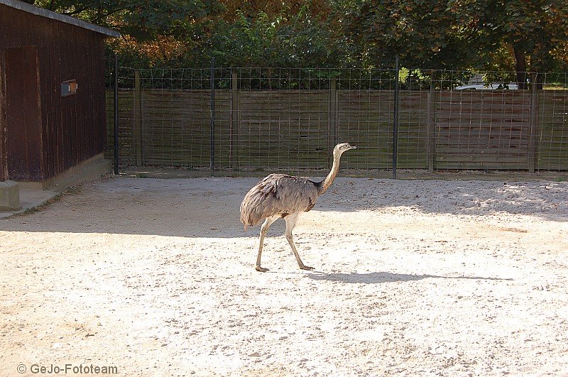 parijszooparijsfoto02.jpg