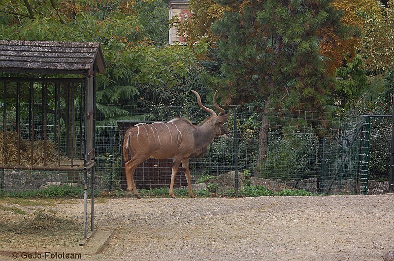 parijszooparijsfoto20.jpg