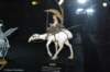starwarsexhibition2008brusselfoto14_small.jpg