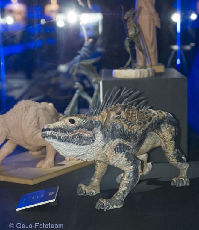 starwarsexhibition2008brusselfoto34.jpg