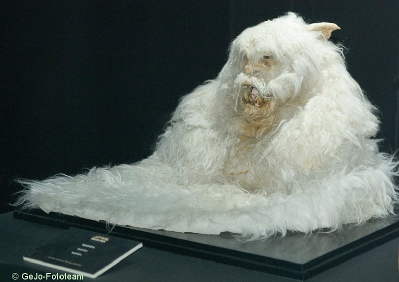 starwarsexhibition2008brusselfoto41.jpg