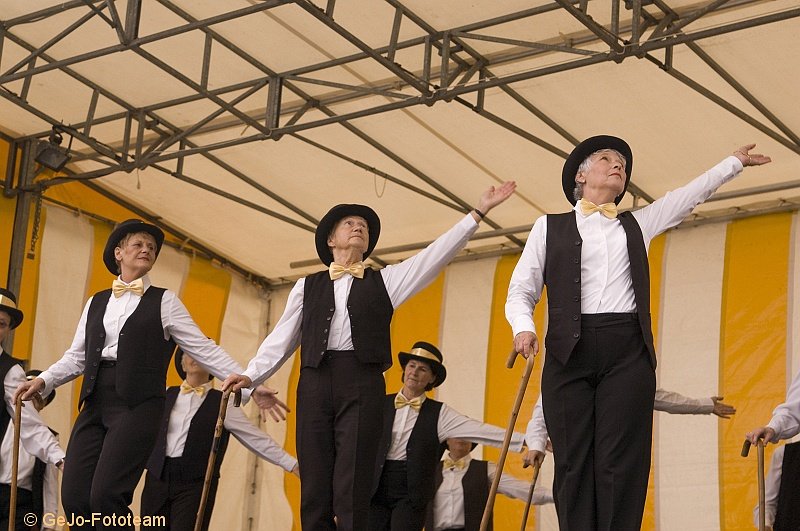 koreogroepvistivalheist2008foto16.jpg