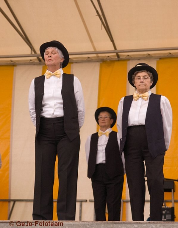 koreogroepvistivalheist2008foto21.jpg