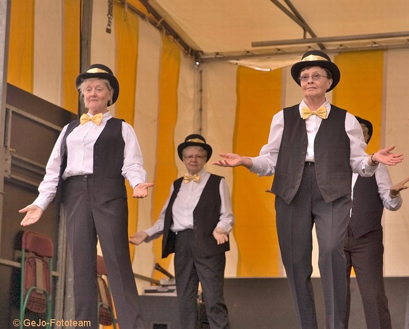 koreogroepvistivalheist2008foto25.jpg