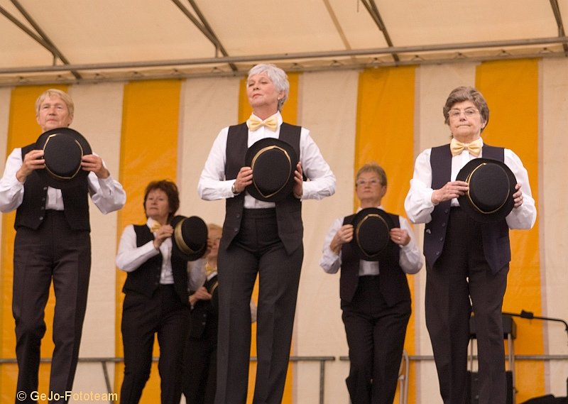 koreogroepvistivalheist2008foto31.jpg