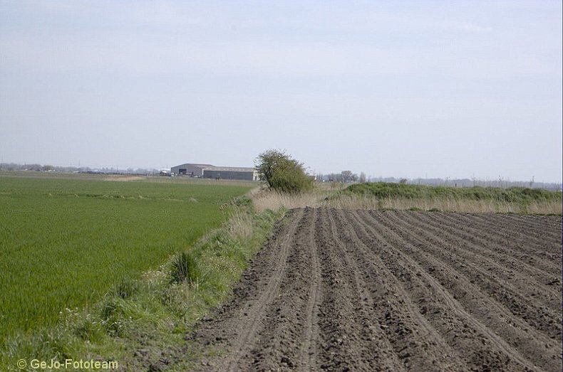 wandel2daagseblankenbergefoto06.jpg