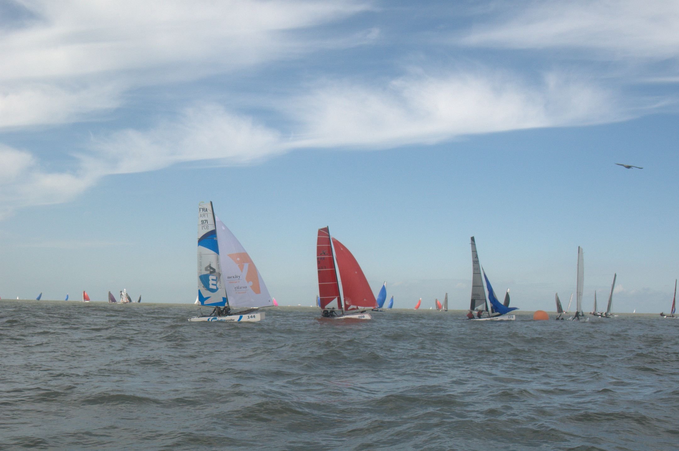 wkcatamaranduinbergenfoto61.jpg