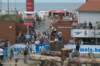 dsc_5517_small.jpg