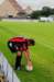 dsc_8811_small.jpg