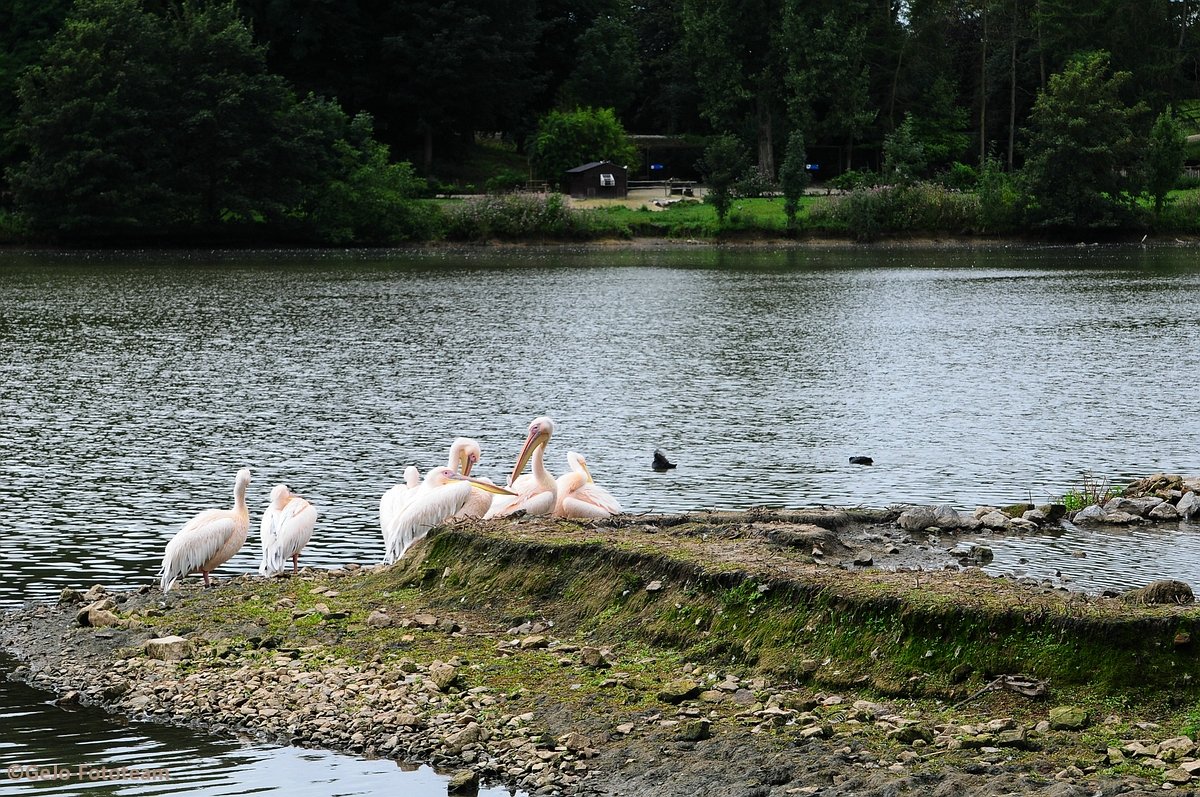 dsc_8439.jpg