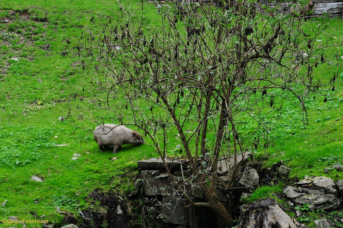 dsc_8446.jpg