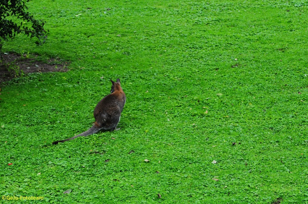 dsc_8477.jpg