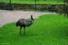 dsc_8479_small.jpg
