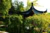 dsc_8530_small.jpg