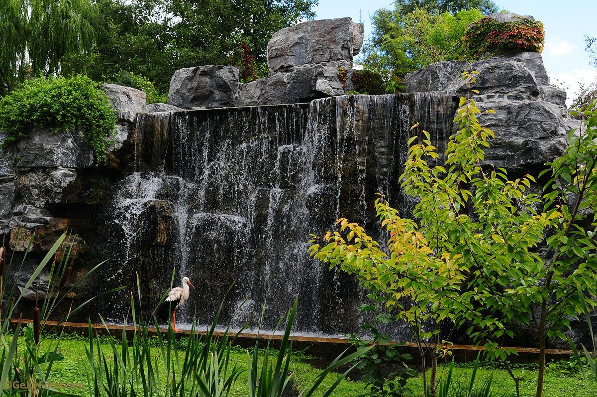 dsc_8542.jpg