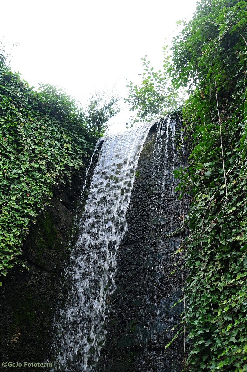 dsc_8569.jpg