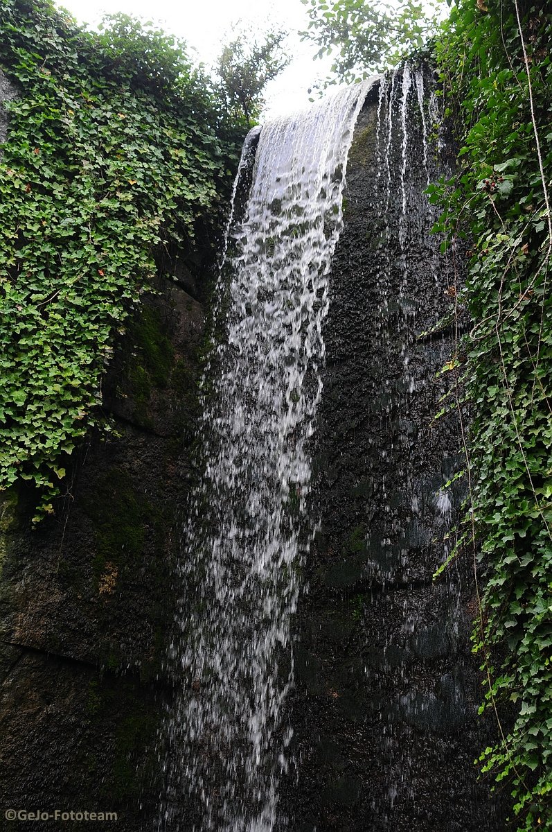 dsc_8570.jpg
