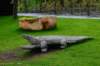 dsc_8588_small.jpg