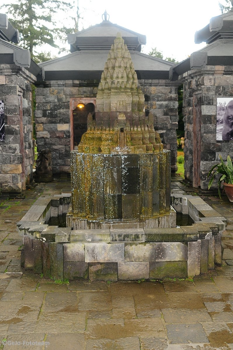 dsc_8598.jpg