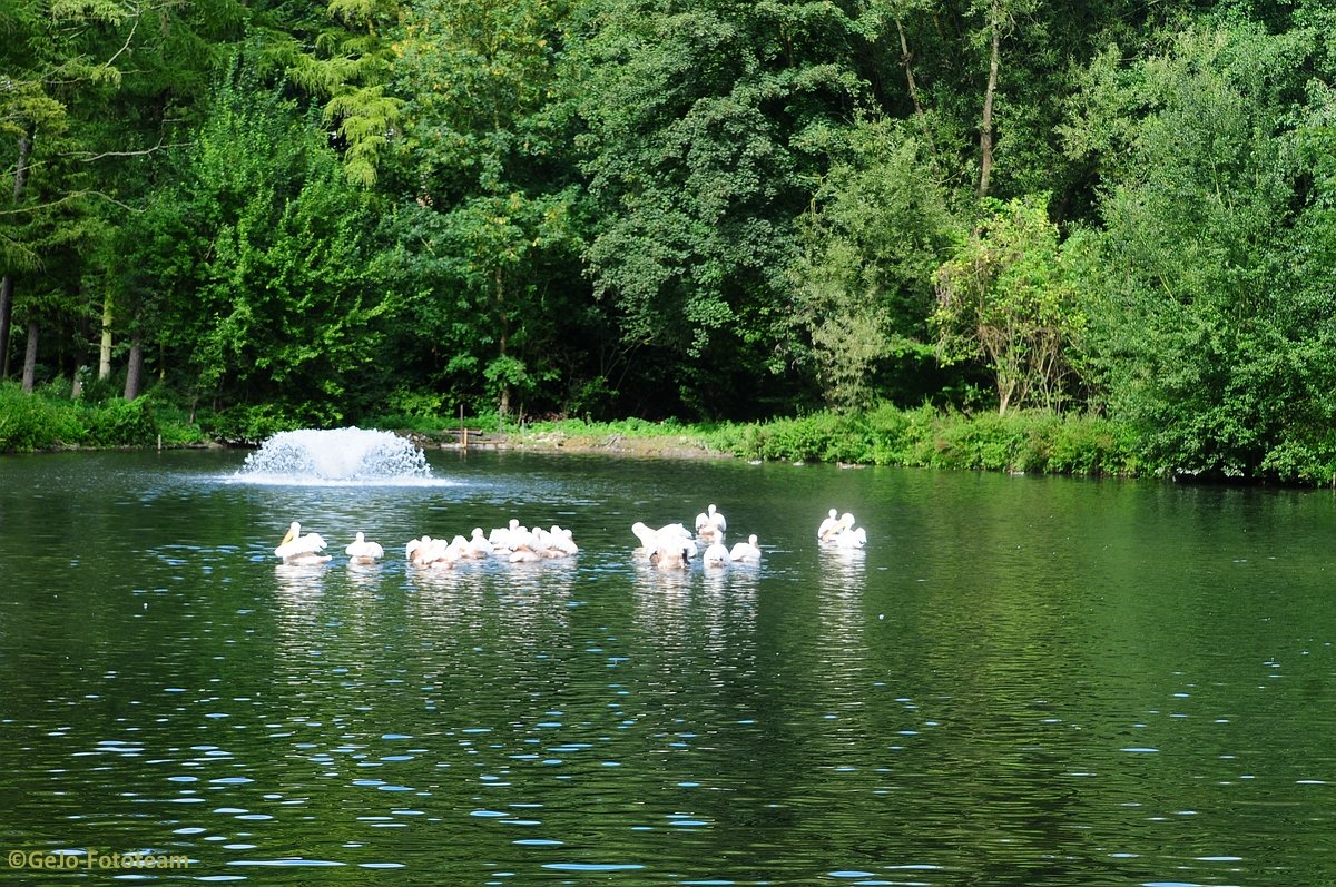 dsc_8604.jpg