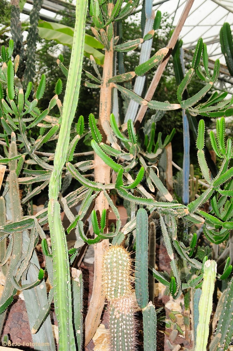 dsc_8627.jpg