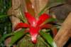 dsc_6836_small.jpg