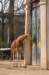dsc_6901_small.jpg