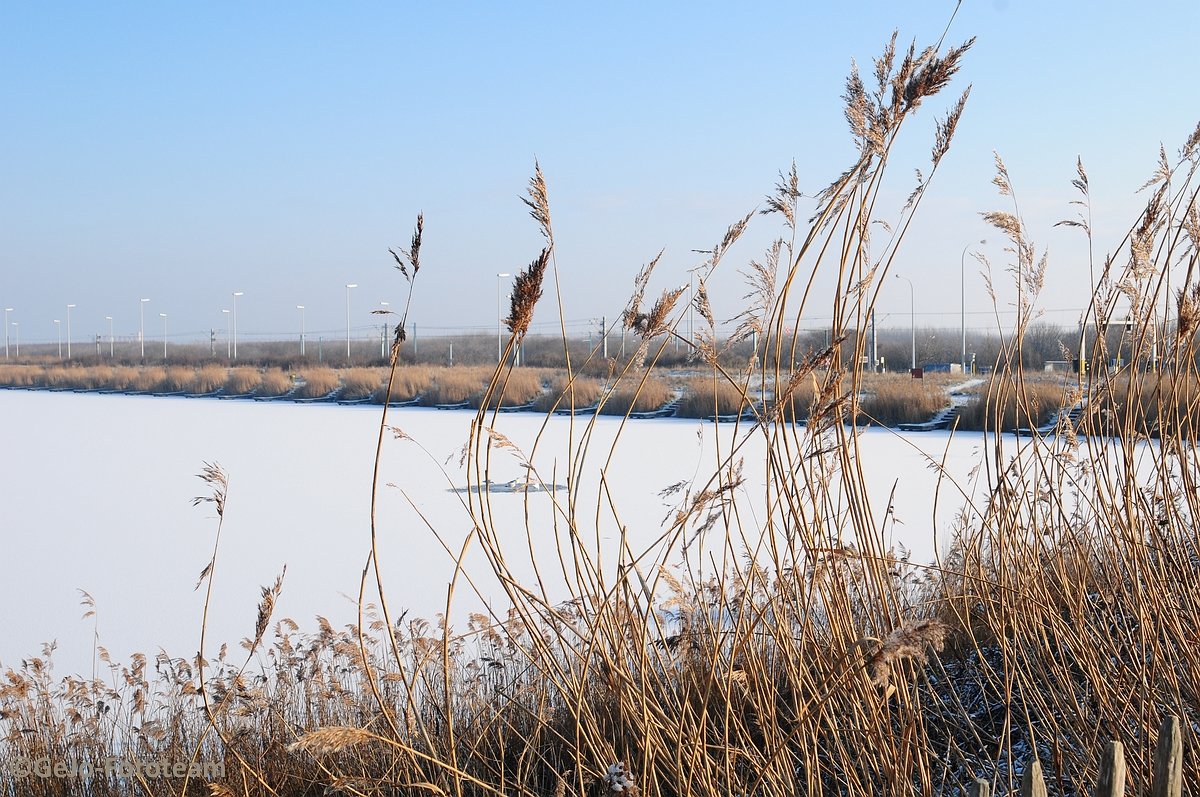 blankenbergewinterfoto03.jpg