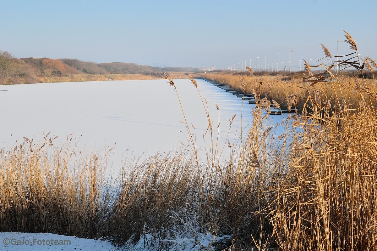 blankenbergewinterfoto04.jpg