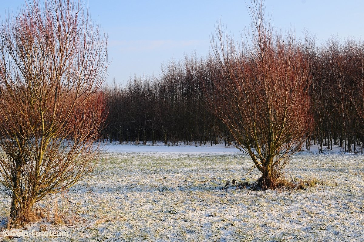 blankenbergewinterfoto08.jpg