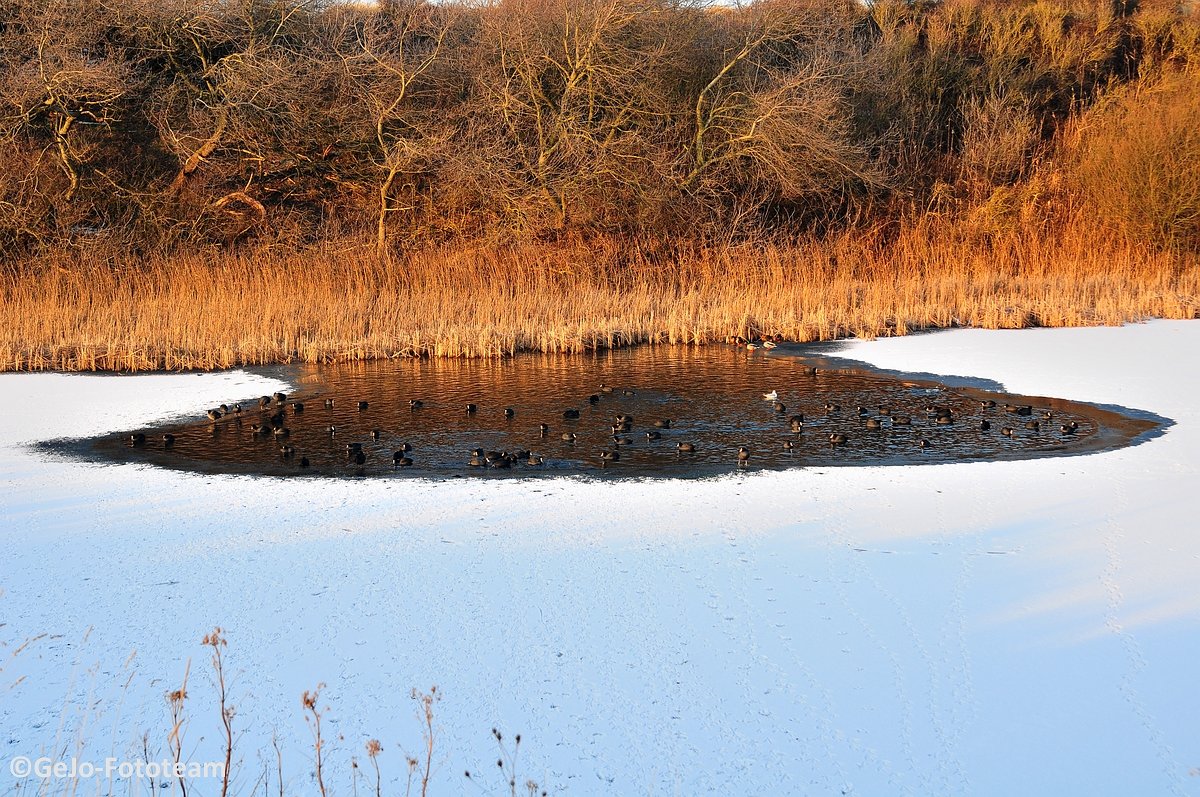 blankenbergewinterfoto15.jpg