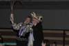 dsc_6960_small.jpg