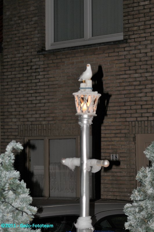 dsc_7082.jpg