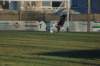 dsc_8530_small.jpg