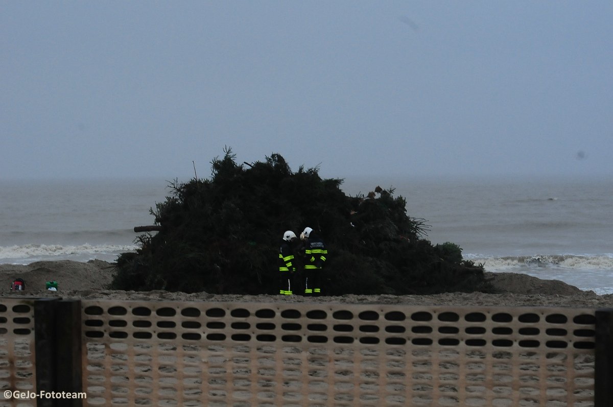 dsc_0123.jpg