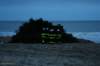 dsc_0125_small.jpg