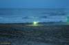 dsc_0134_small.jpg