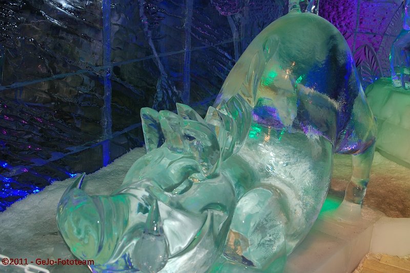 dsc_1304.jpg