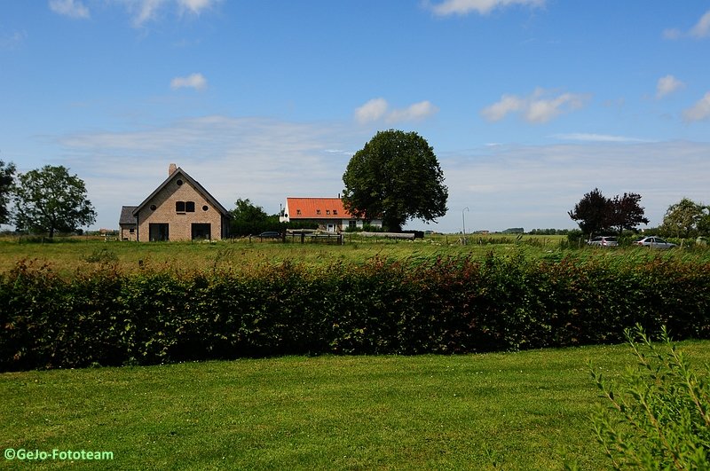 dsc_3177.jpg