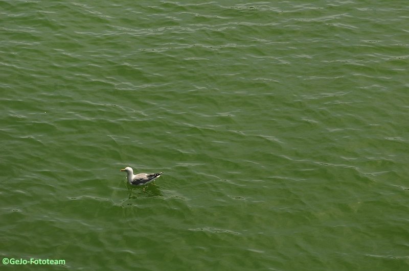 dsc_3409.jpg