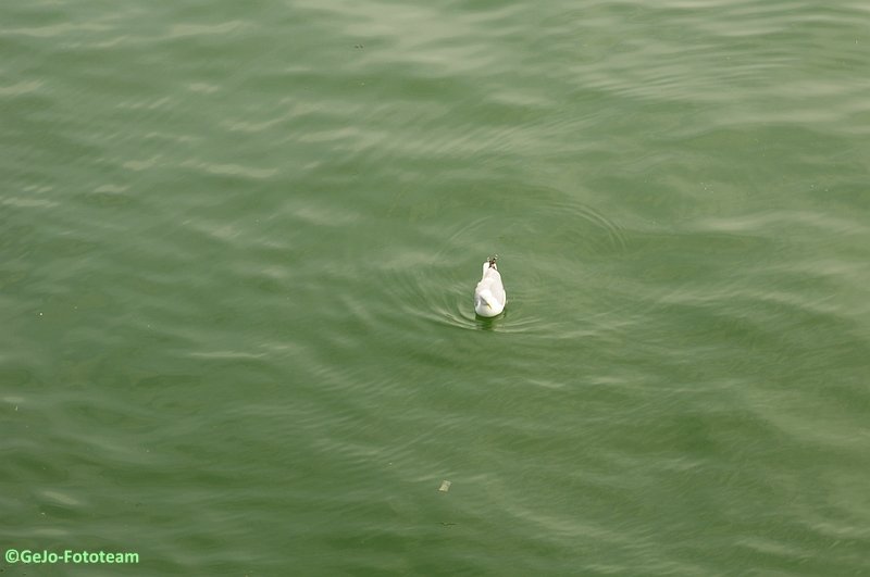 dsc_3532.jpg