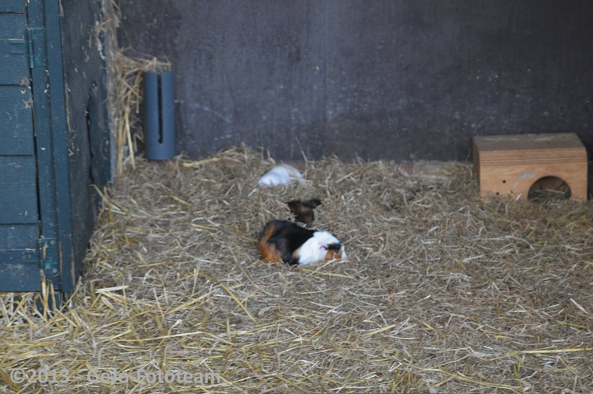 dsc_3047.jpg