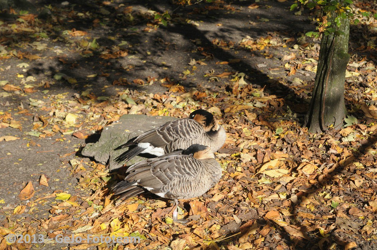 dsc_3065.jpg