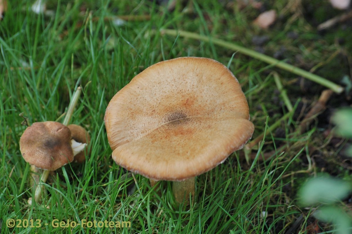 dsc_3992.jpg