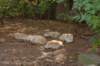 dsc_4024_small.jpg