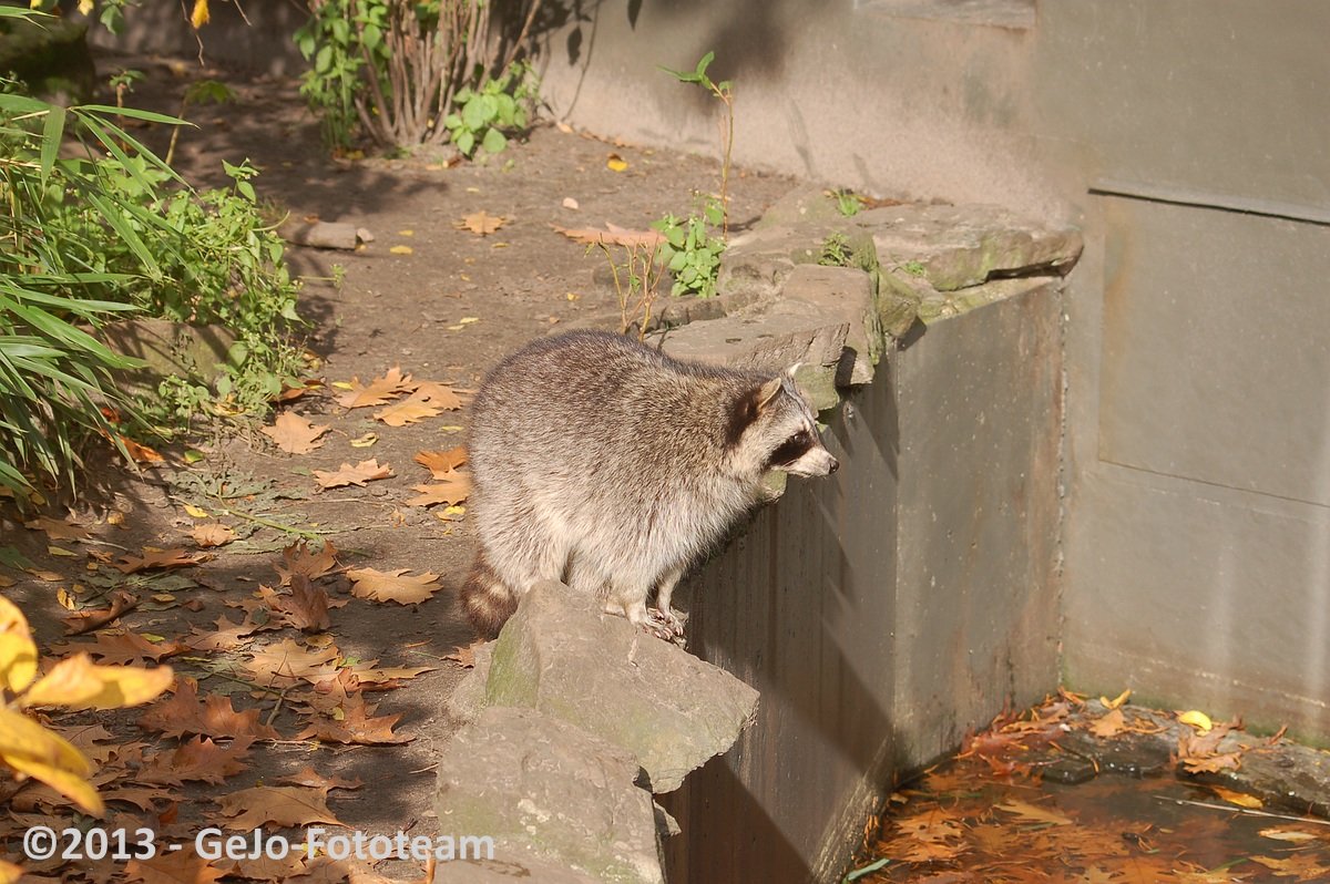 dsc_4039.jpg