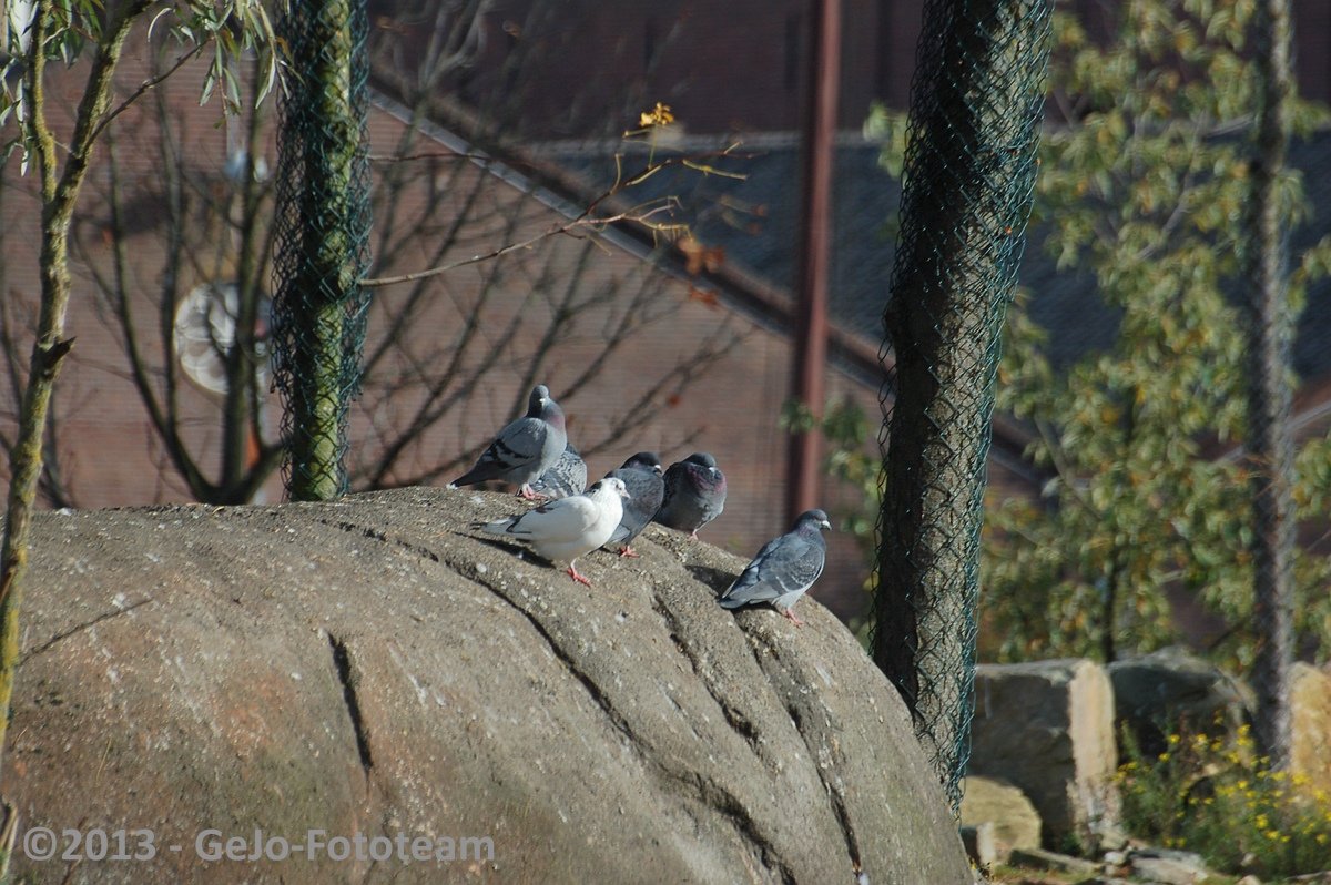 dsc_4047.jpg