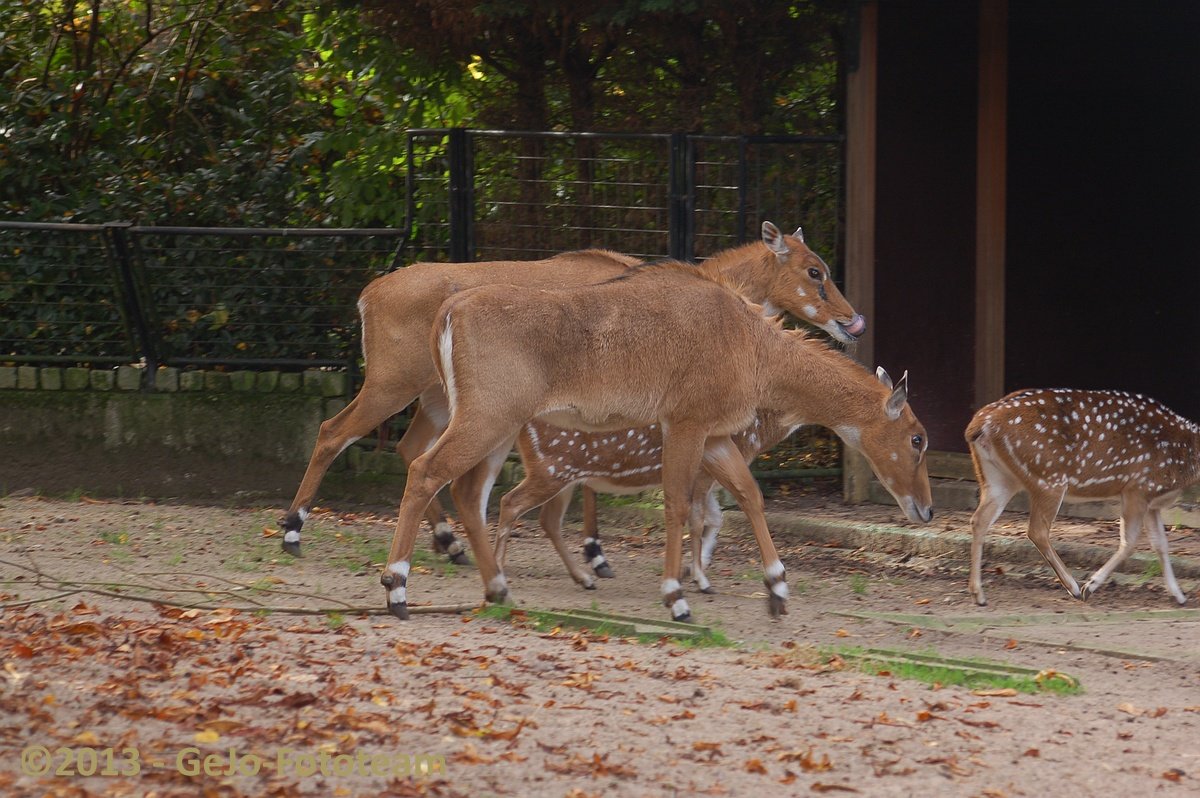 dsc_4081.jpg
