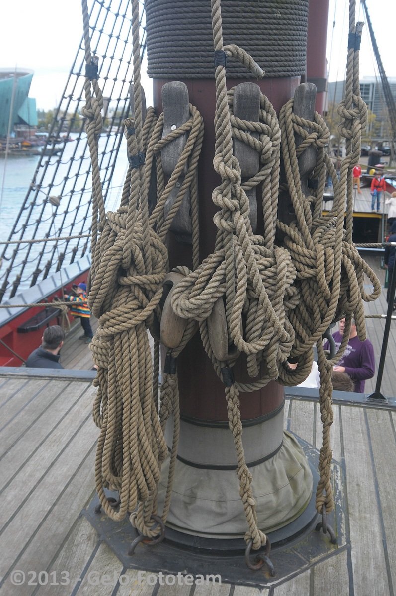 dsc_2951.jpg