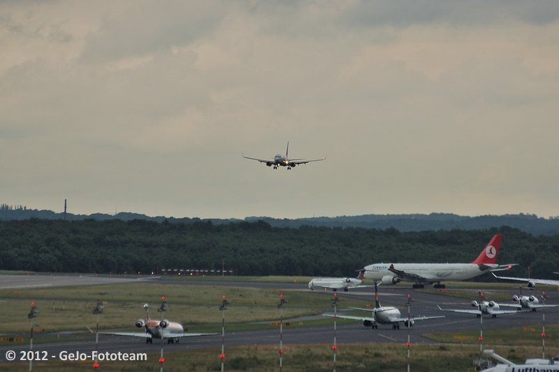 dsc_2481.jpg